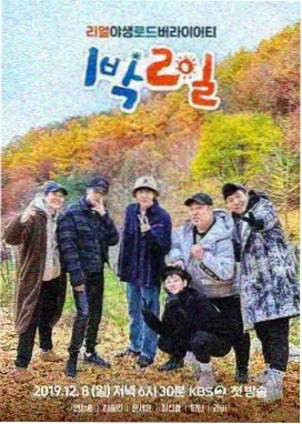 金桔影院音乐综艺